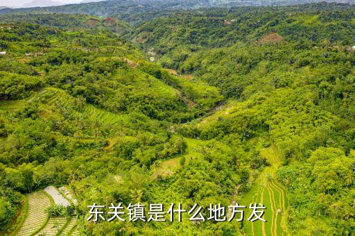 汝南縣東關在什么街道，東關鎮是什么地方的...